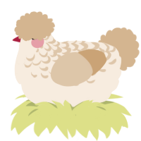 A cream and beige chicken with a half-lace pattern