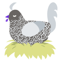 A grey and mist chicken with a double-lace pattern