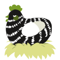 A sable and white chicken with a bar pattern