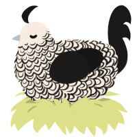 A cream and sable chicken with a double-lace pattern