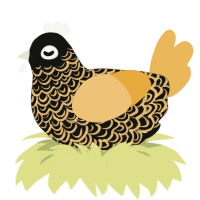 A black and honey chicken with a double-lace pattern