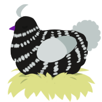 A sable and silver chicken with a bar pattern