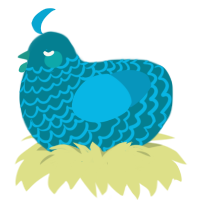A sea and cerulean chicken with a lace pattern