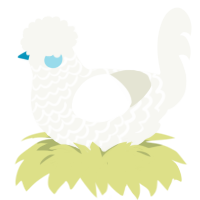 A white chicken with a lace pattern