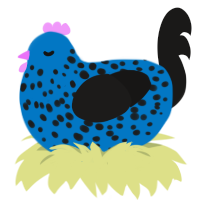 Moon, a sapphire and sable chicken with a speckle pattern