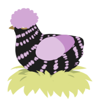 A sable and orchid chicken with a bar pattern