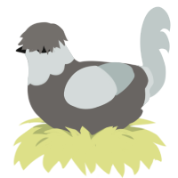 A grey and silver chicken with a head pattern