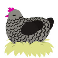 A ash and sable chicken with a lace pattern