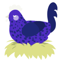 A indigo and navy chicken with a speckle pattern