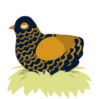 greek vase, a tumblr and ochre chicken with a lace pattern