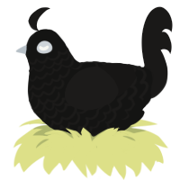 (unnamed), a black and sable chicken with a lace pattern