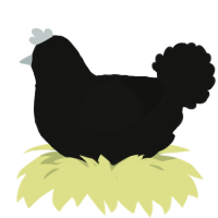 A black chicken with a lace pattern