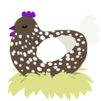 A bark and white chicken with a speckle pattern