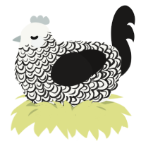 A white and sable chicken with a double-lace pattern