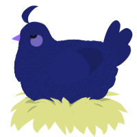 A navy chicken with a double-lace pattern