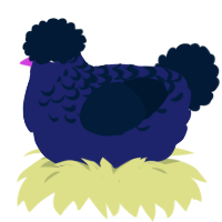 A navy and tumblr chicken with a half-lace pattern