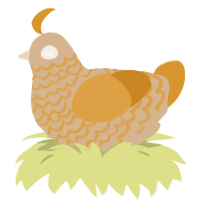 A beige and orange chicken with a lace pattern