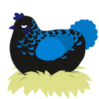 A sable and sapphire chicken with a half-lace pattern