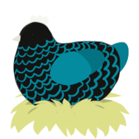 A black and sea chicken with a lace pattern