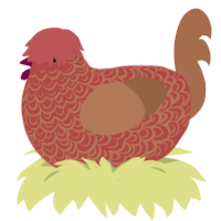 A red and brown chicken with a double-lace pattern