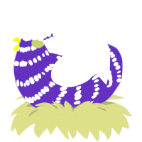 A overcast and white chicken with a bar pattern