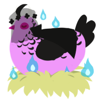 Illusion, a lavender and sable chicken with a half-lace pattern