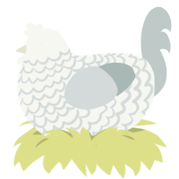 A white and silver chicken with a lace pattern