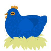 boo, a ultramarine chicken with a speckle pattern