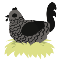 A grey and black chicken with a lace pattern