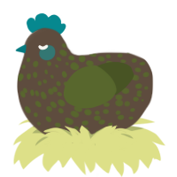 A bark and olive chicken with a speckle pattern