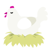 A white chicken