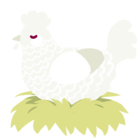 A white chicken with a lace pattern