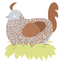 A mist and brown chicken with a double-lace pattern