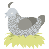 A mist and ash chicken with a double-lace pattern