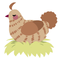 A beige and brown chicken with a bar pattern
