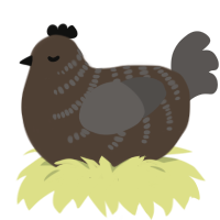 A bark and grey chicken with a half-bar pattern