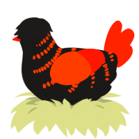A sable and vermilion chicken with a half-bar pattern