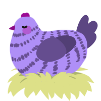 Lilac, a lilac and overcast chicken with a bar pattern