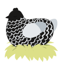 A sable and mist chicken with a lace pattern