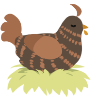A bark and brown chicken with a bar pattern