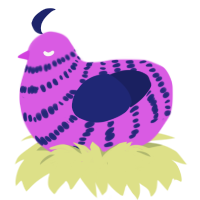Hubba Bubba, a orchid and navy chicken with a bar pattern