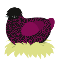 A black and wine chicken with a double-lace pattern