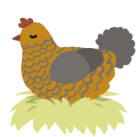A ochre and grey chicken with a lace pattern