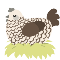 A cream and bark chicken with a lace pattern