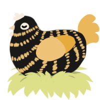 Bumble, a sable and honey chicken with a bar pattern