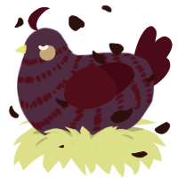A indigo and maroon chicken with a bar pattern