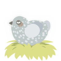 A silver and mist chicken with a speckle pattern