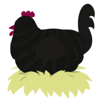 A black and sable chicken with a bar pattern