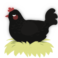 A black and sable chicken with a half-lace pattern
