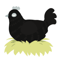 A black and sable chicken with a bar pattern